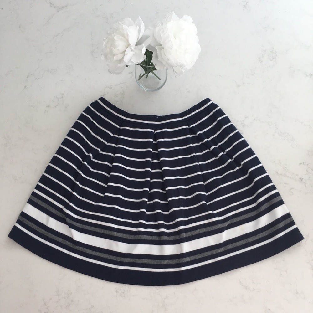 Max Studio Navy Stripe Skirt